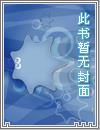 天谕神偷