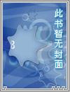 赌石王
